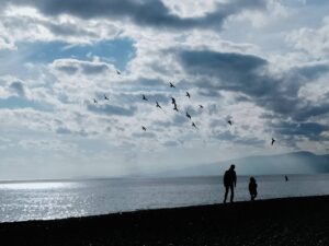 海辺の写真