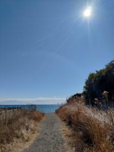 平塚の海へ向かう道