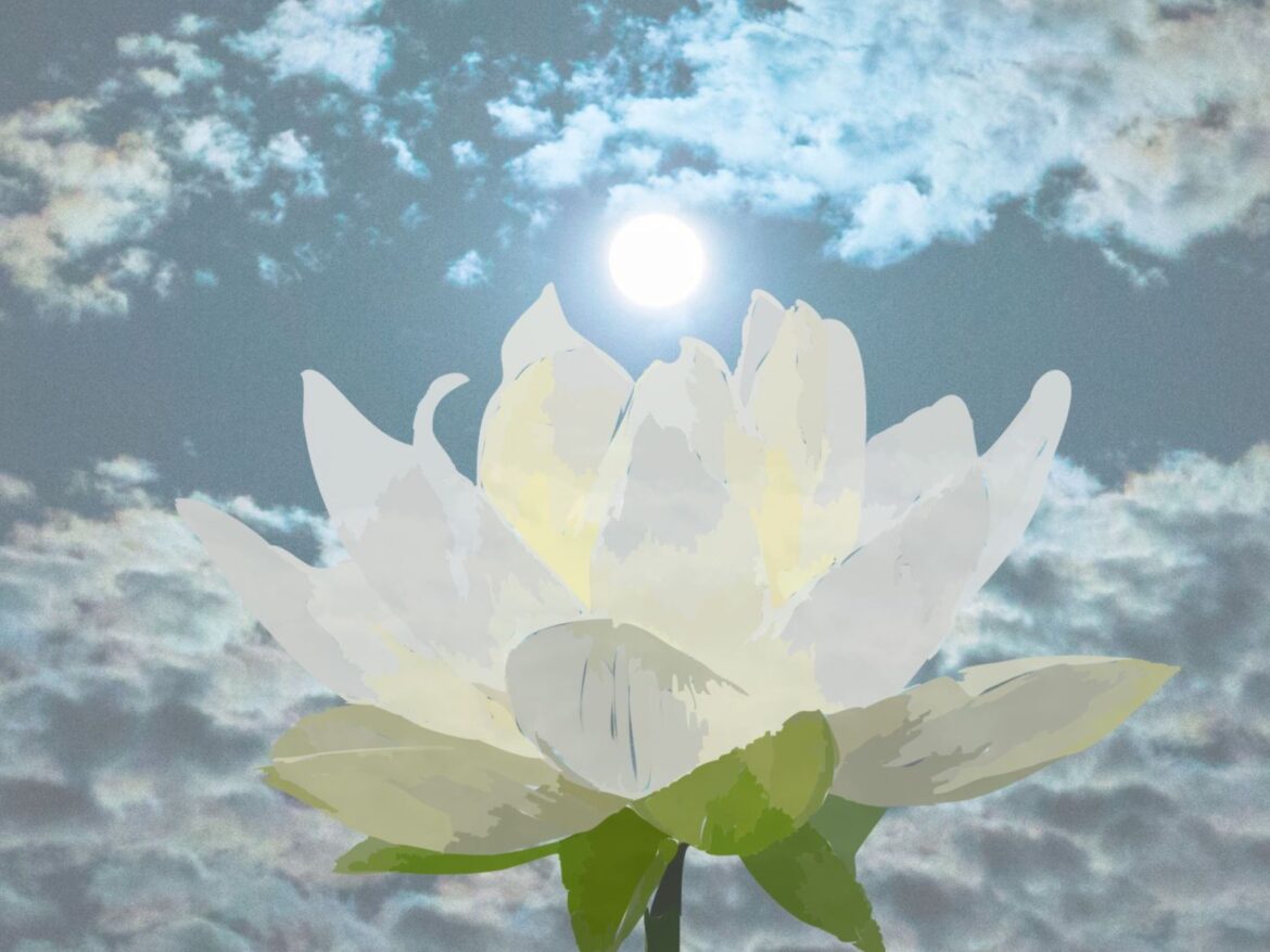 音の鍵「月の花」～ご感想