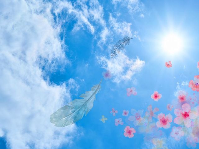 音の鍵「そらとともに」～ご感想