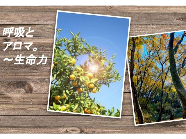 ボイスヒーリングの呼吸と、アロマ。           ～冬至前のピアノヒーリング