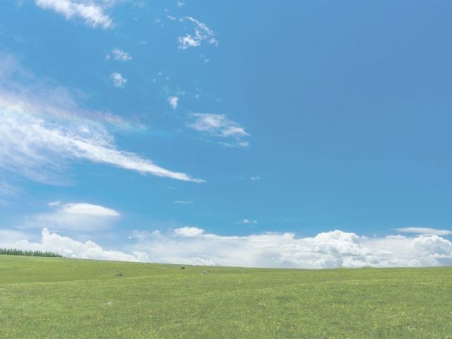 音の鍵「いっしょに行こう」～ご感想