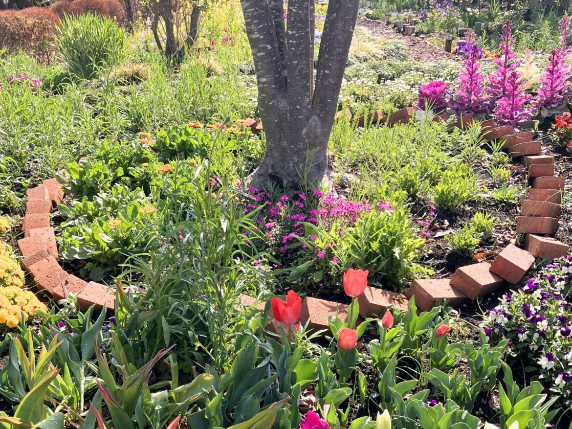 4月限定個人セッション｜春の大地と歌う