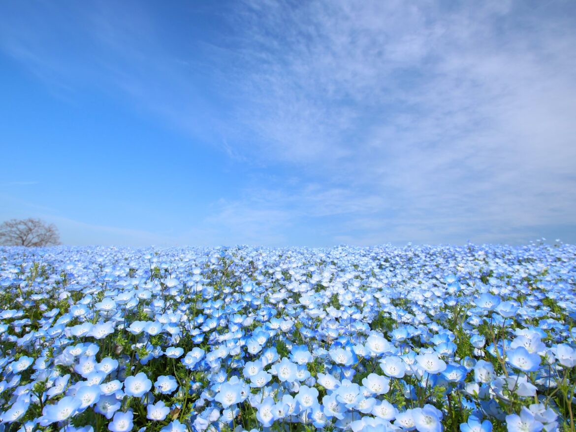 風の時代の私の歌２－新しい物語をはじめる。