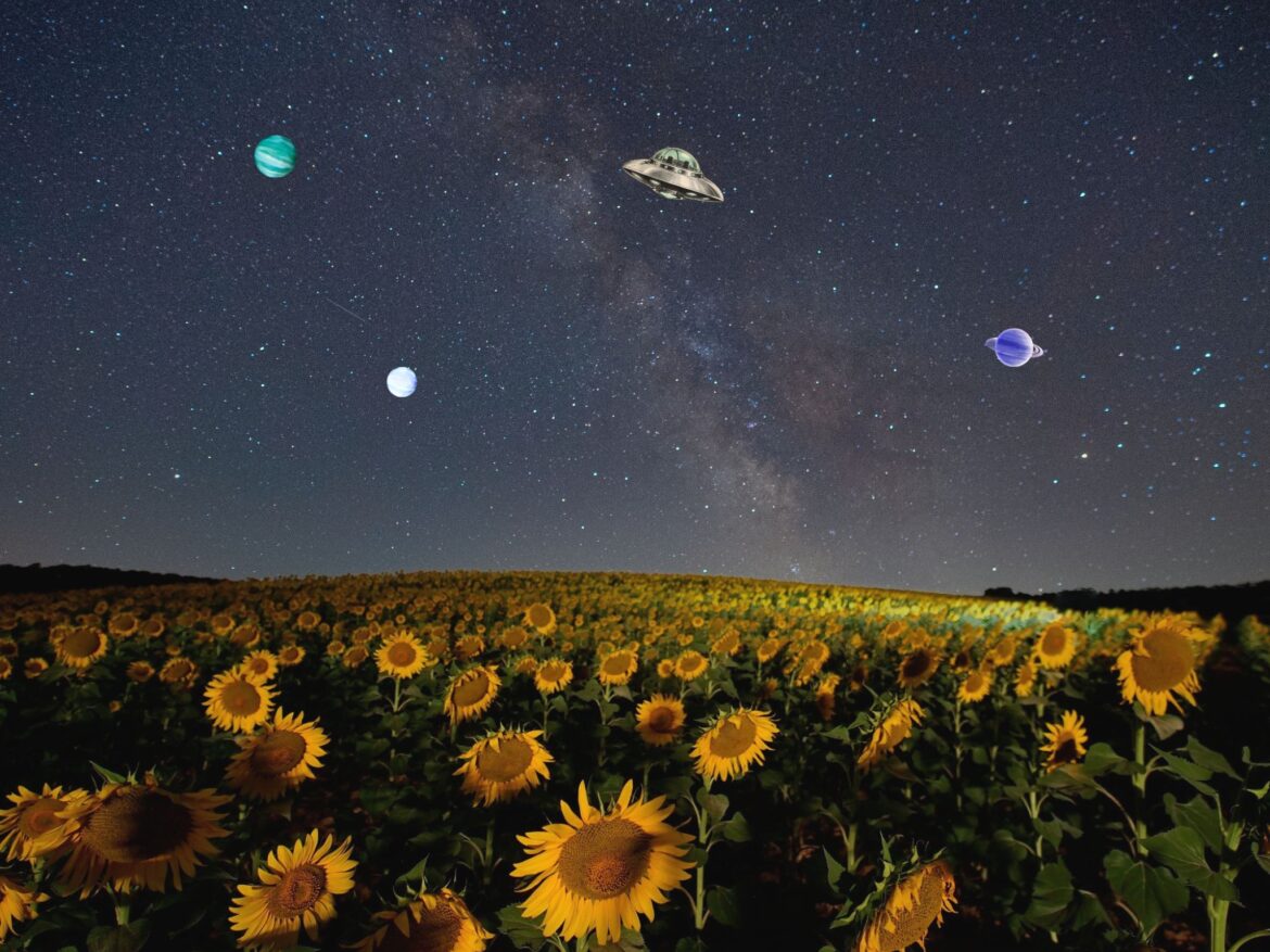 星と声で私と出会う旅 ～インナースペーストラベル